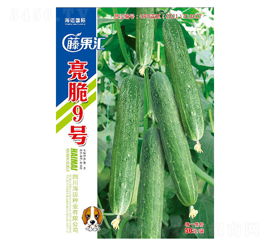 ����9̖(h��o)-�S�ϷN��-�ٹ��R-���~��(gu��)�H