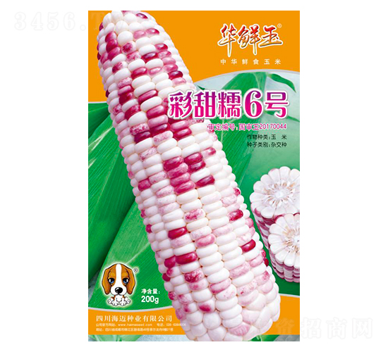 彩甜糯6號(hào)-玉米種子-華鮮玉-海邁國(guó)際