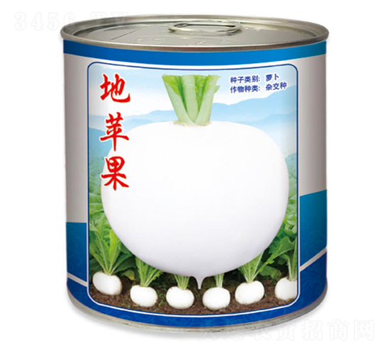 ���O��-�����}���N��-������