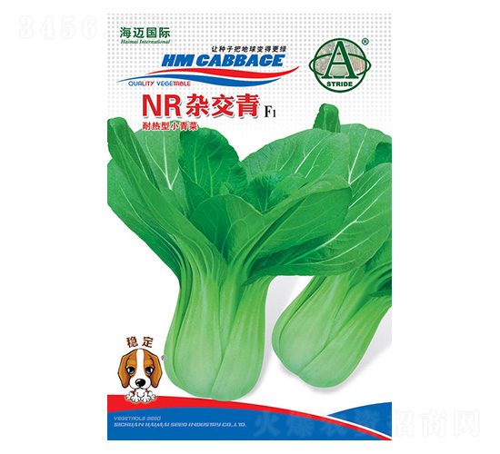 NR�s����-С��˷N��-���~���H