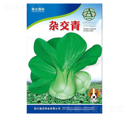 �s����-С��˷N��-���~���H