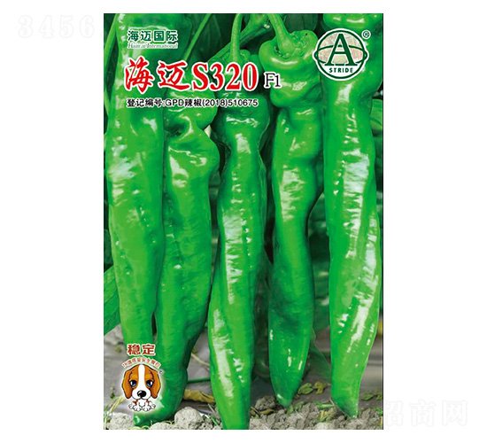 海邁S320-辣椒種子-海邁國際