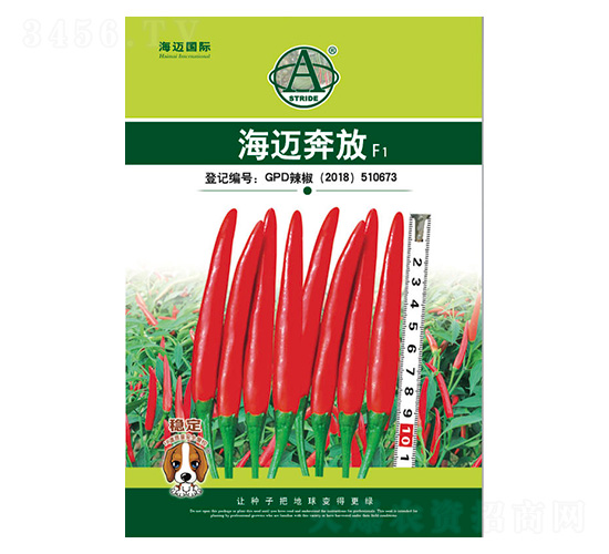 海邁奔放-辣椒種子-海邁國際