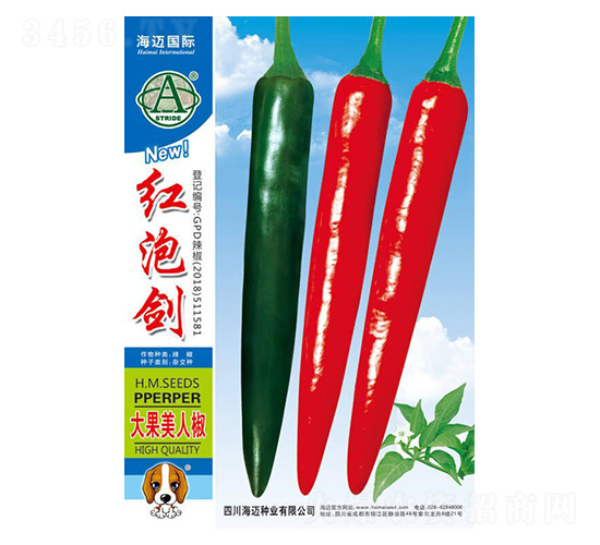 紅泡劍-辣椒種子-海邁國(guó)際