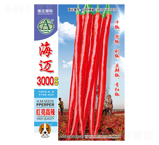 ���~3000S-�����N��-���~���H