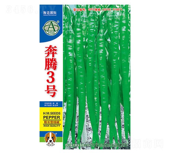 奔騰3號(hào)-辣椒種子-海邁國際