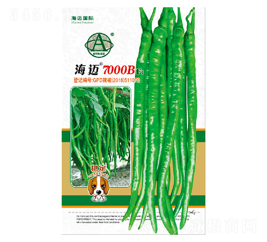 ���~7000B-�����N��-���~���H