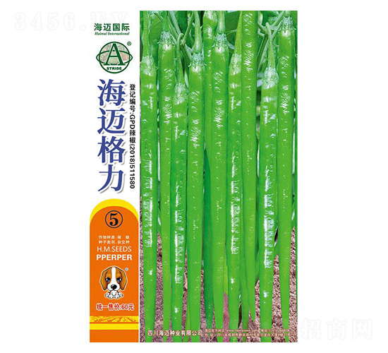 ���~����5-�����N��-���~���H