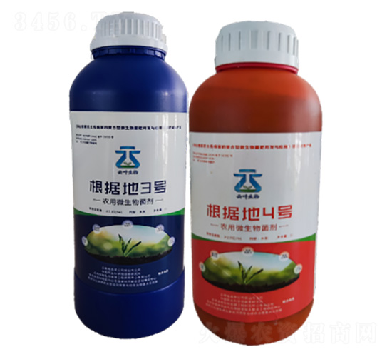 ����(j��)��3̖-���~����