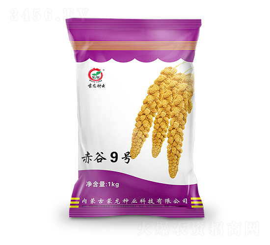 赤谷9號-谷子種子-蒙龍種業(yè)