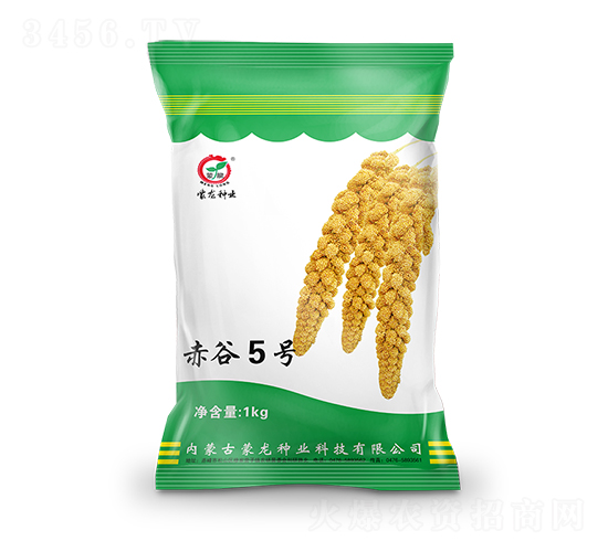 赤谷5號-谷子種子-蒙龍種業(yè)