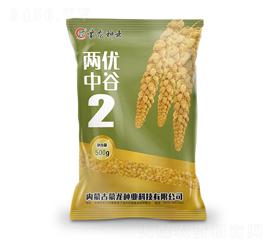 兩優(yōu)中谷2-谷子種子-蒙龍種業(yè)