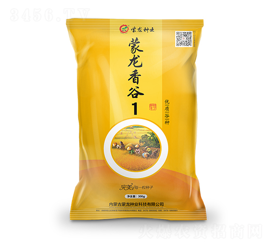 蒙龍香谷1-谷子種子-蒙龍種業(yè)