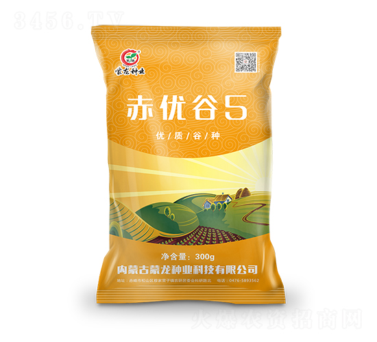 赤優(yōu)谷5-谷子種子-蒙龍種業(yè)