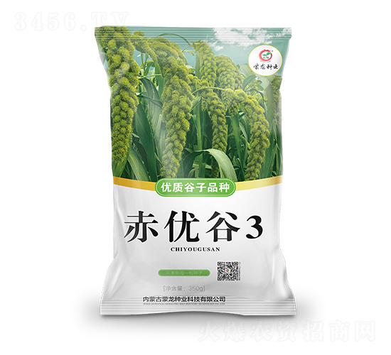 ����(y��u)��3-���ӷN��-�����N�I(y��)