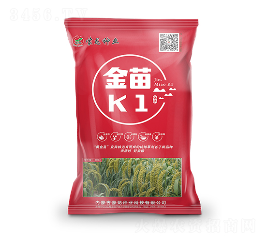 金苗K1（紅）-谷子種子-蒙龍種業(yè)