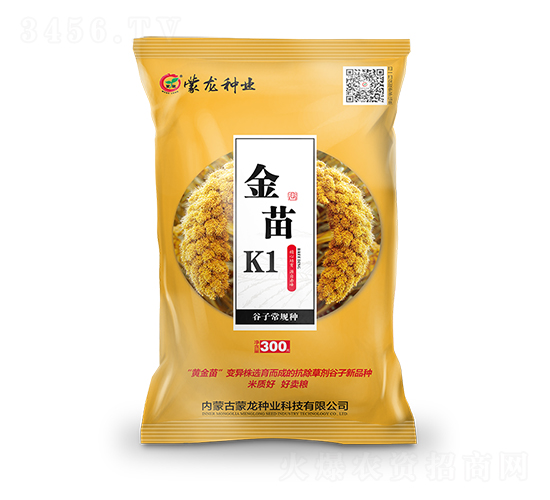 金苗K1（黃）-谷子種子-蒙龍種業(yè)