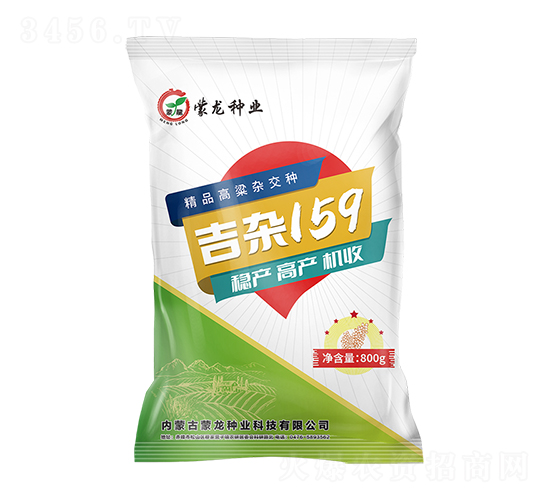 吉雜159-高粱種子-蒙龍種業(yè)