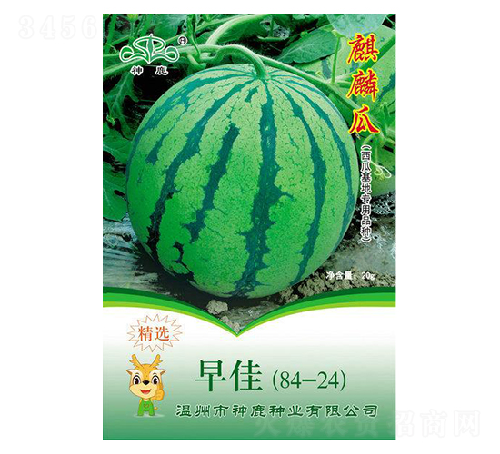 ��ѣ�84-24�����ϷN��-��¹�N�I(y��)