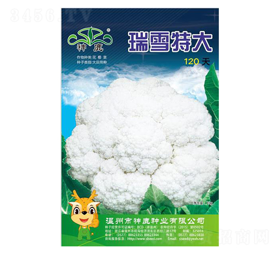 ��ѩ120��-��Ҭ�˷N��-��¹�N�I(y��)