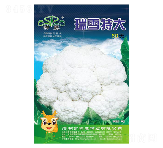 瑞雪特大80天-花椰菜種子-神鹿種業(yè)