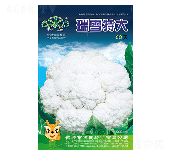 ��ѩ�ش�60��-��Ҭ�˷N��-��¹�N�I(y��)