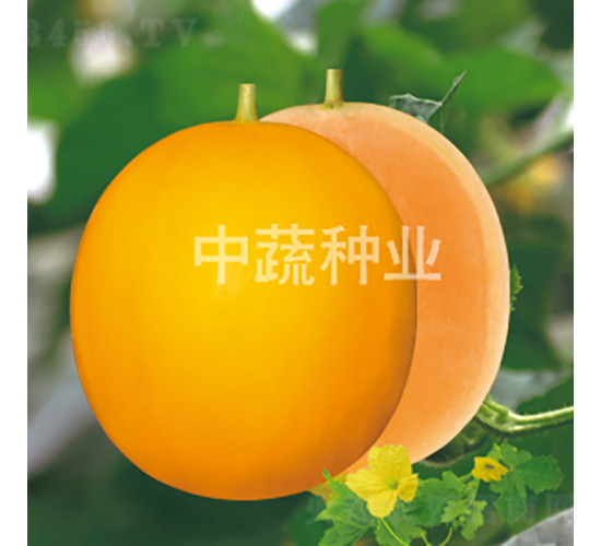 ����198-��ϷN��-���߷N�I(y��)