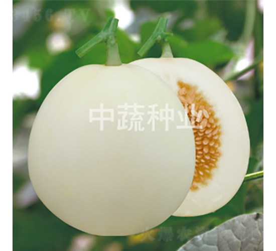 ����25-��ϷN��-���߷N�I(y��)