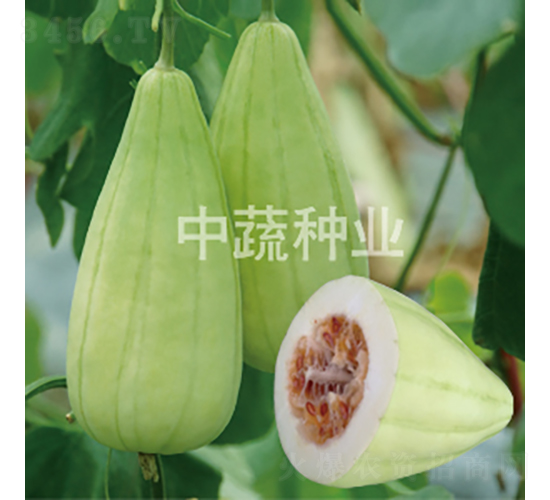 ����ţ-��ϷN��-���߷N�I(y��)