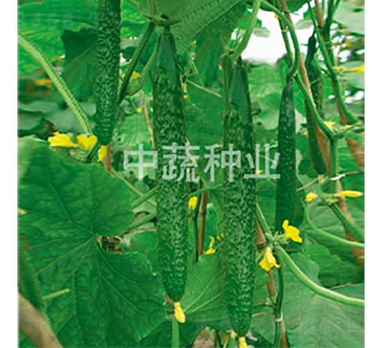 ���r(n��ng)26̖(h��o)-�S�ϷN��-���߷N�I(y��)