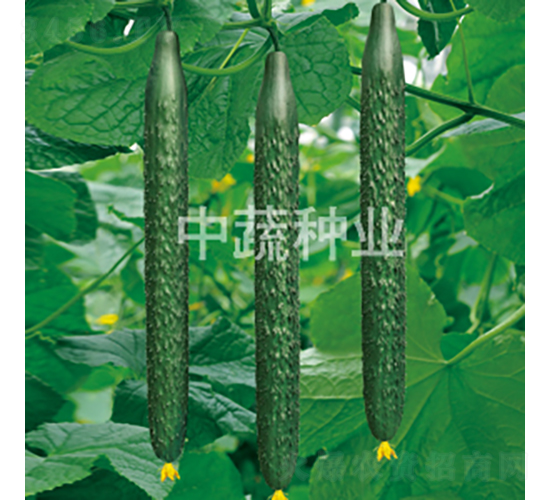 ���x���r(n��ng)27̖(h��o)-�S�ϷN��-���߷N�I(y��)