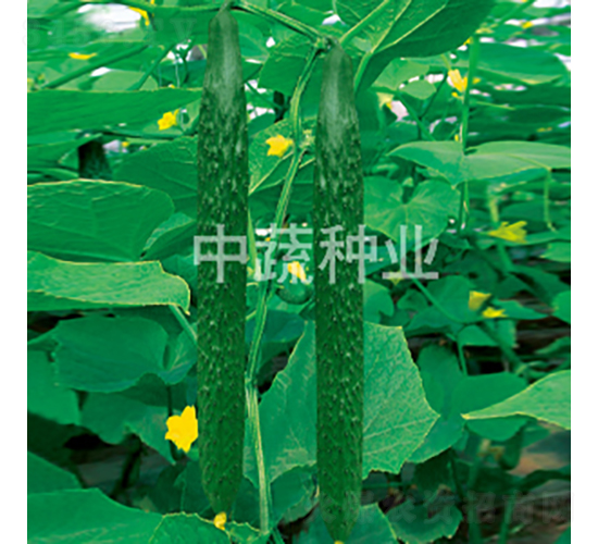 ���r(n��ng)106̖-�S�ϷN��-���߷N�I(y��)