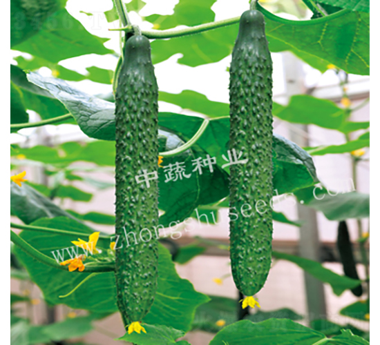 ���r(n��ng)31-�S�ϷN��-���߷N�I(y��)