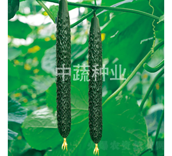 ���r(n��ng)18̖-�S�ϷN��-���߷N�I(y��)