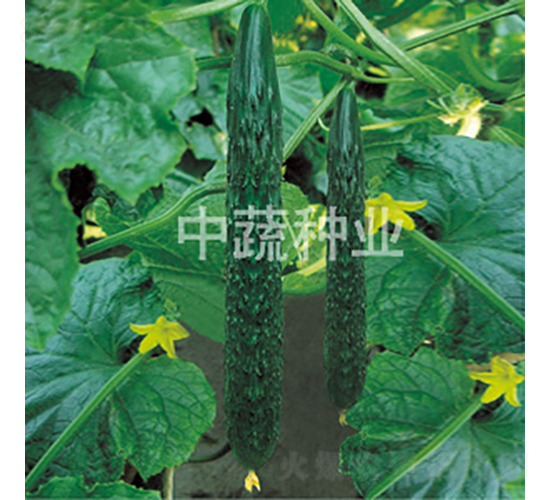 ���r(n��ng)118̖-�S�ϷN��-���߷N�I(y��)