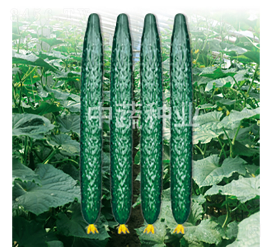 ���r(n��ng)48-�S�ϷN��-���߷N�I(y��)