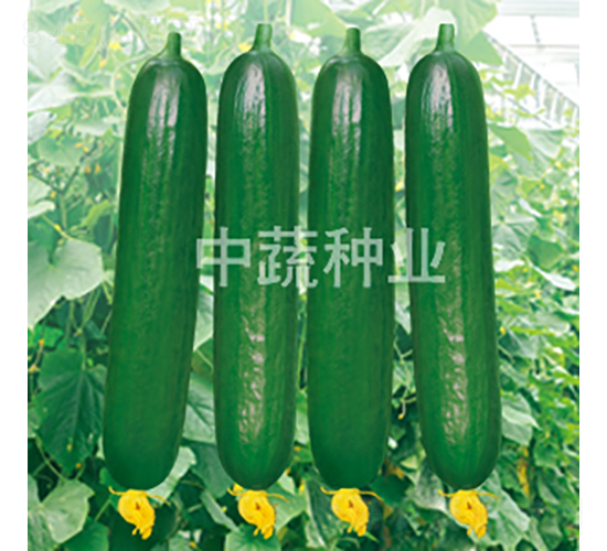 ���r(n��ng)59-�S�ϷN��-���߷N�I(y��)