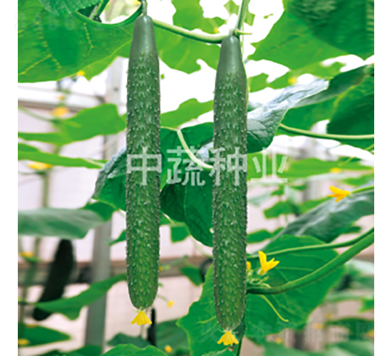 ���r(n��ng)38̖-�S�ϷN��-���߷N�I(y��)