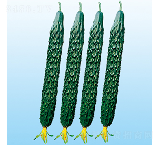 ���r(n��ng)62̖(h��o)-�S�ϷN��-���߷N�I(y��)