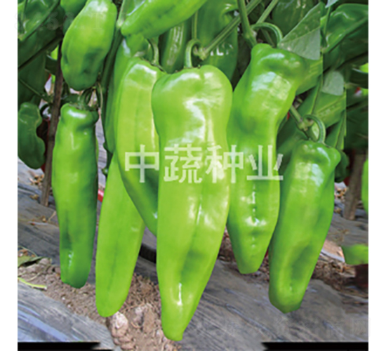 �н�ţ��1̖-�����N��-���߷N�I(y��)