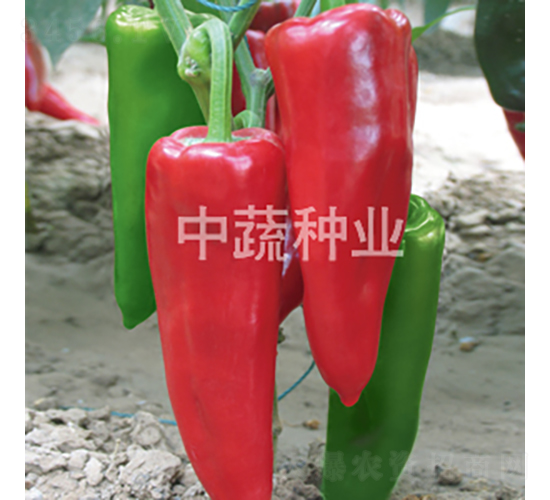 �н�106-�����N��-���߷N�I(y��)