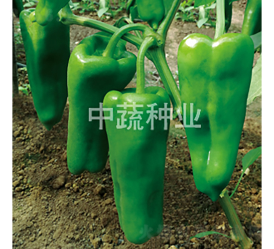 �н�306-�����N��-���߷N�I(y��)