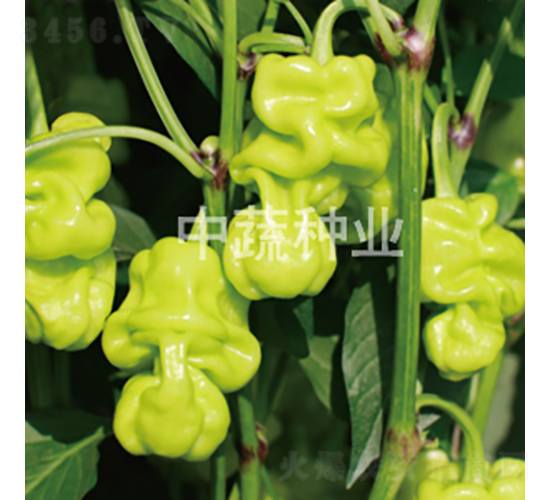 �н�����2̖(h��o)-�����N��-���߷N�I(y��)