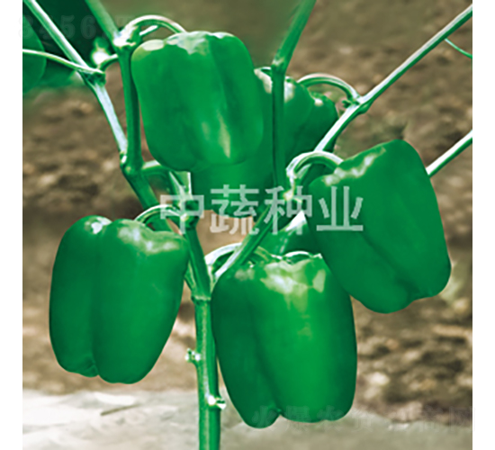 �н�7̖(h��o)-�𽷷N��-���߷N�I(y��)