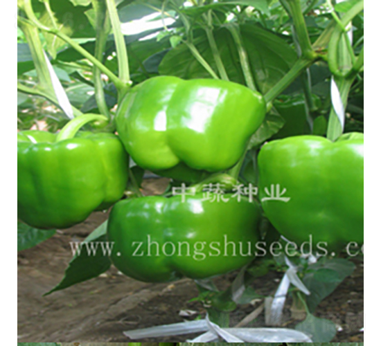 �н�104-�𽷷N��-���߷N�I(y��)