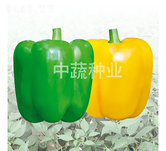 �н�08-08̖-�𽷷N��-���߷N�I(y��)