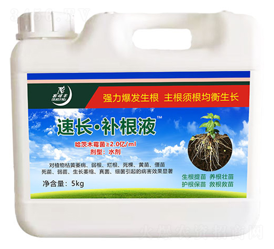 速長·補根液-農(nóng)可豐