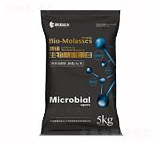 ���۵���-��������