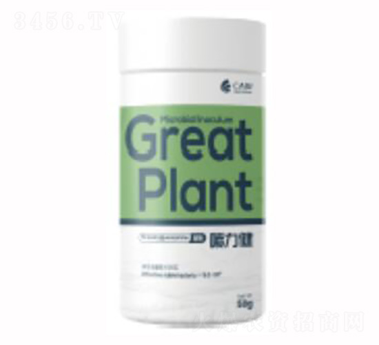 ������-��������