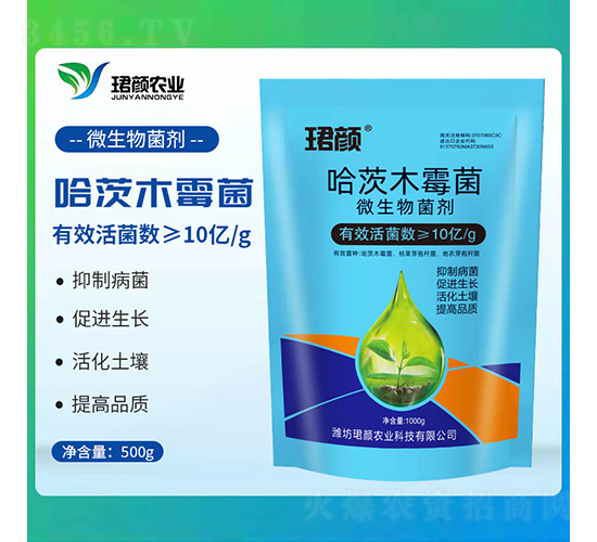 ����ľù��-�B��r(n��ng)�I(y��)